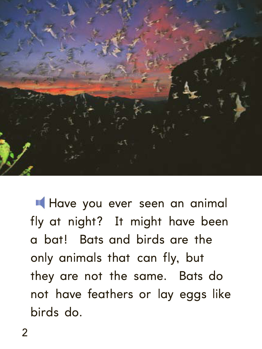 15-animal fly at night 封面