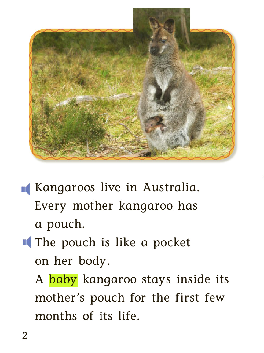 22-Kangaroos manually 封面
