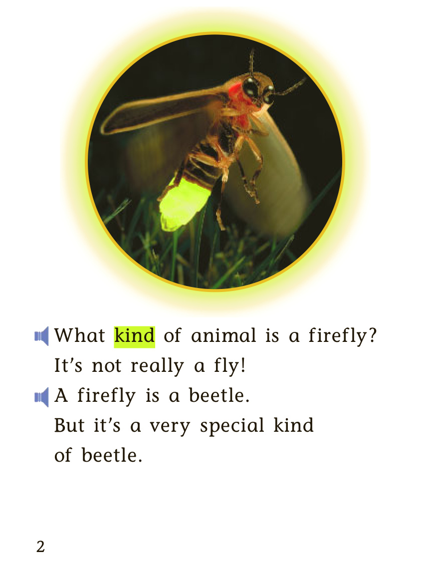 24-Firefly 封面