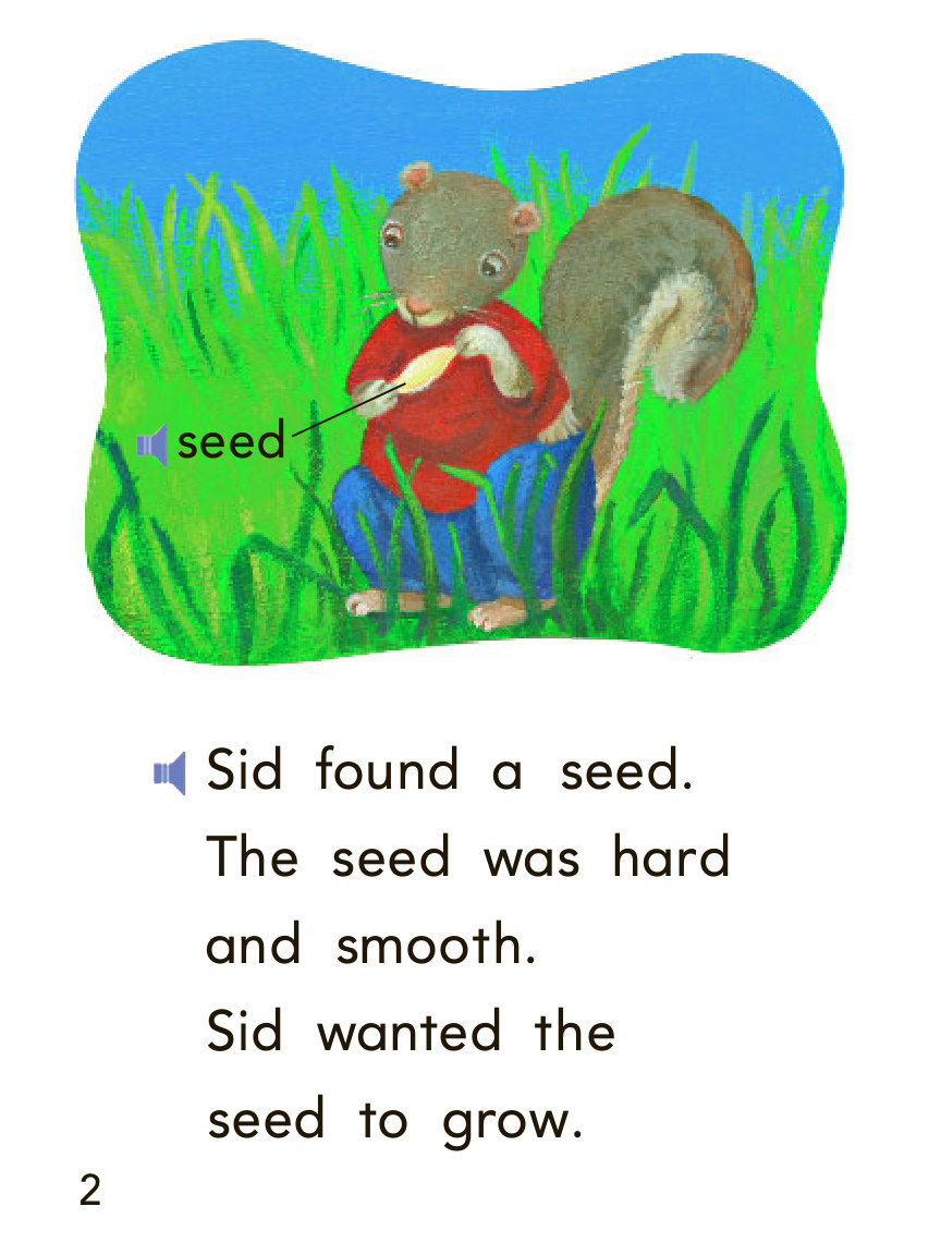 a seed for sid 封面