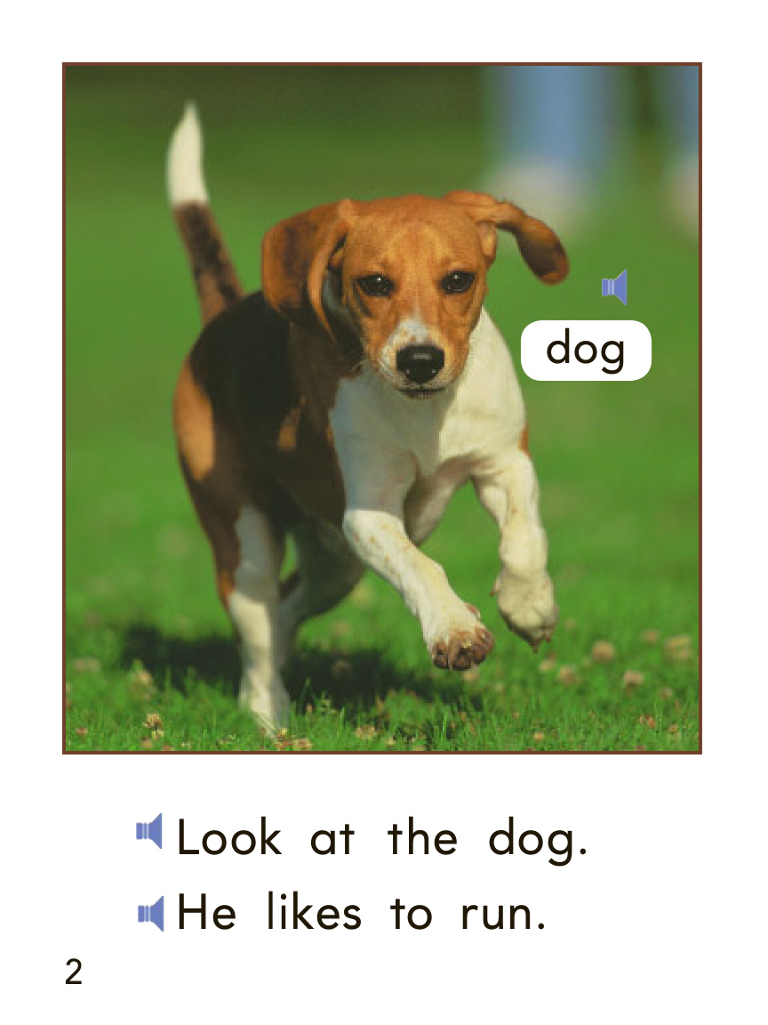 dogs 封面