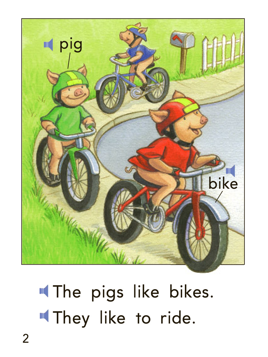 the pigs 封面