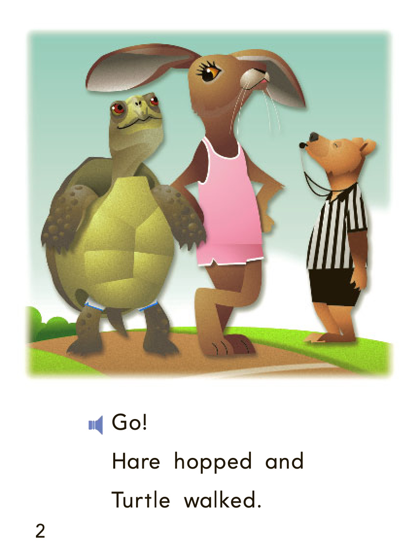 turtle and hare 封面